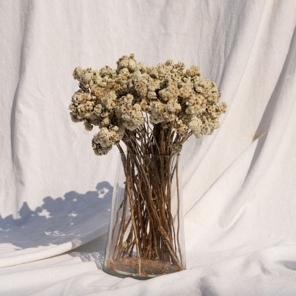 Natural Dried Flower Bunch | Colours Available