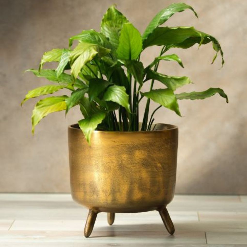 Large Rustic Gold Metal Planter