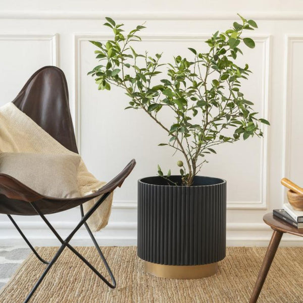 NEW IN - Extra Large Fluted Planter With Base | Colours Available