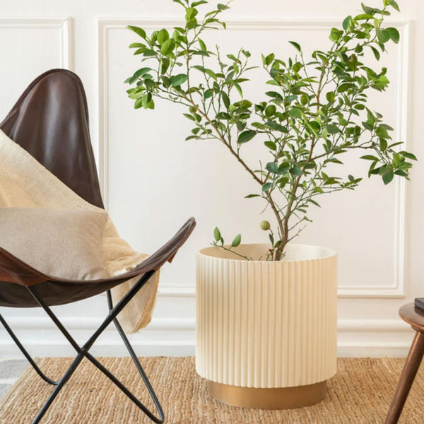 NEW IN - Extra Large Fluted Planter With Base | Colours Available