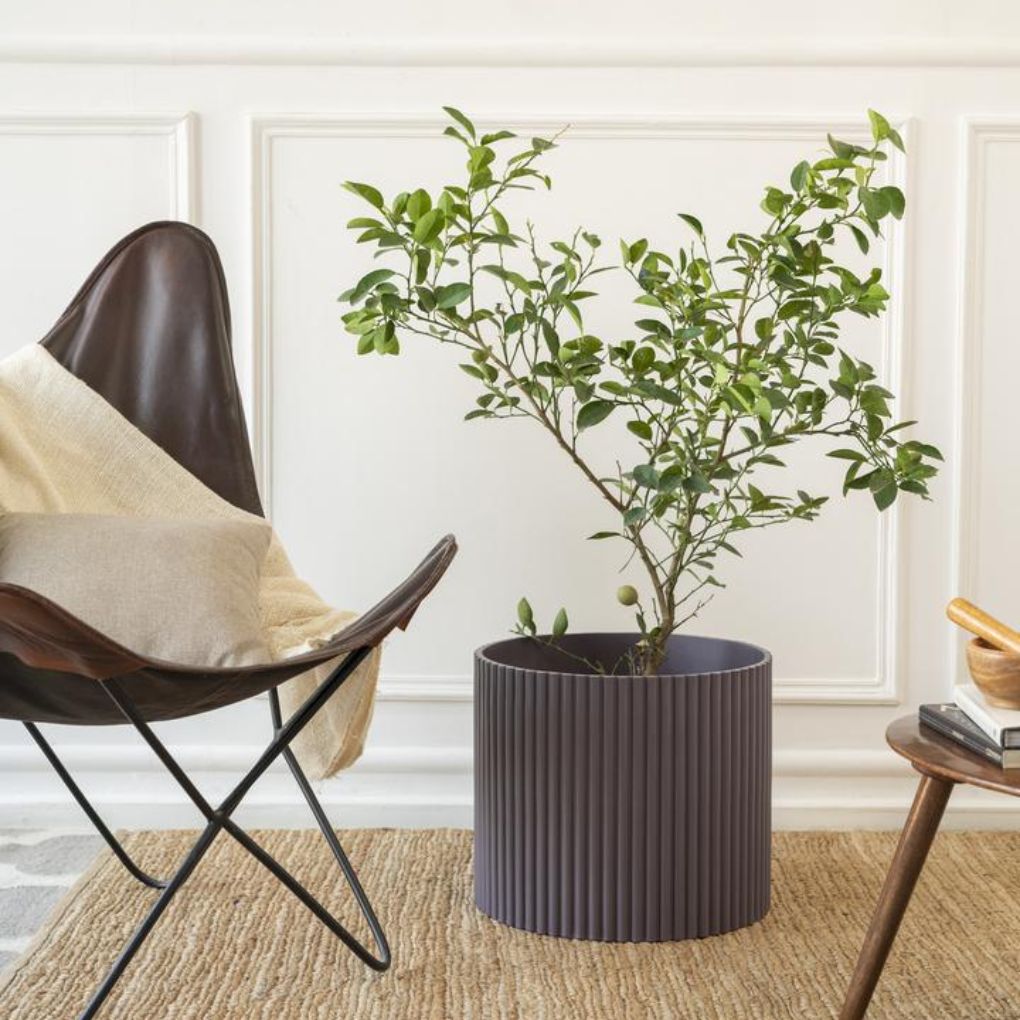 Extra Large Fluted Planter | Colours Available