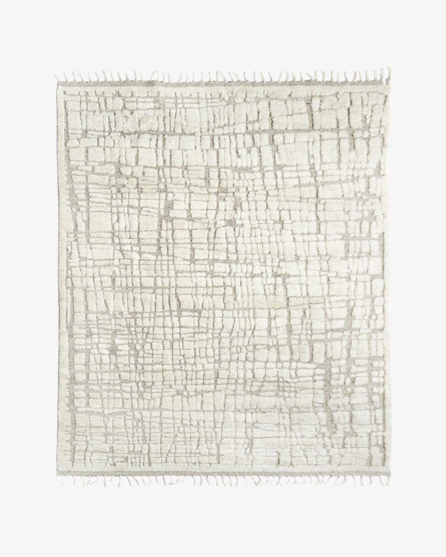 Fern Hand Knotted Wool Rug | Popyuli