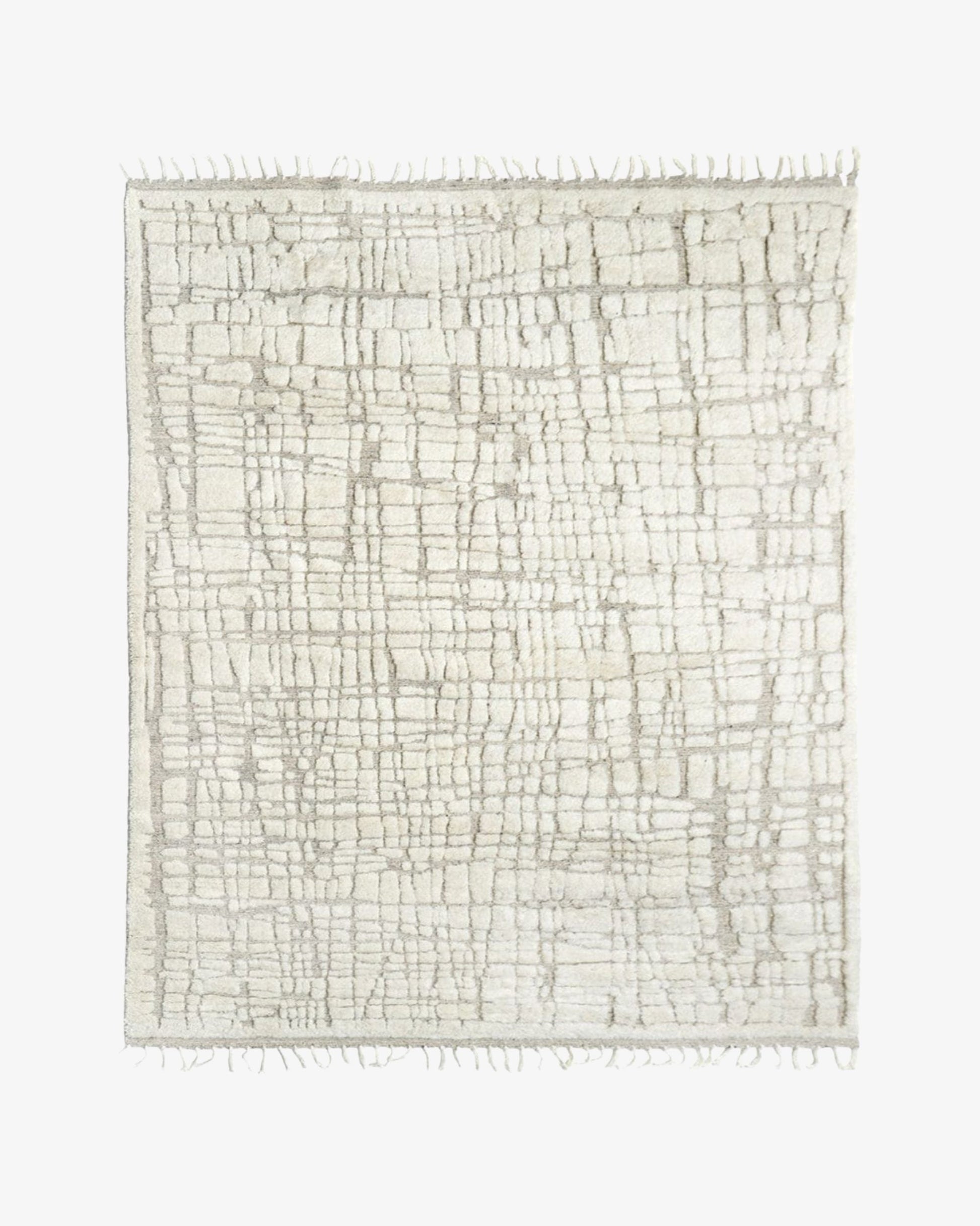 Fern Hand Knotted Wool Rug | Popyuli