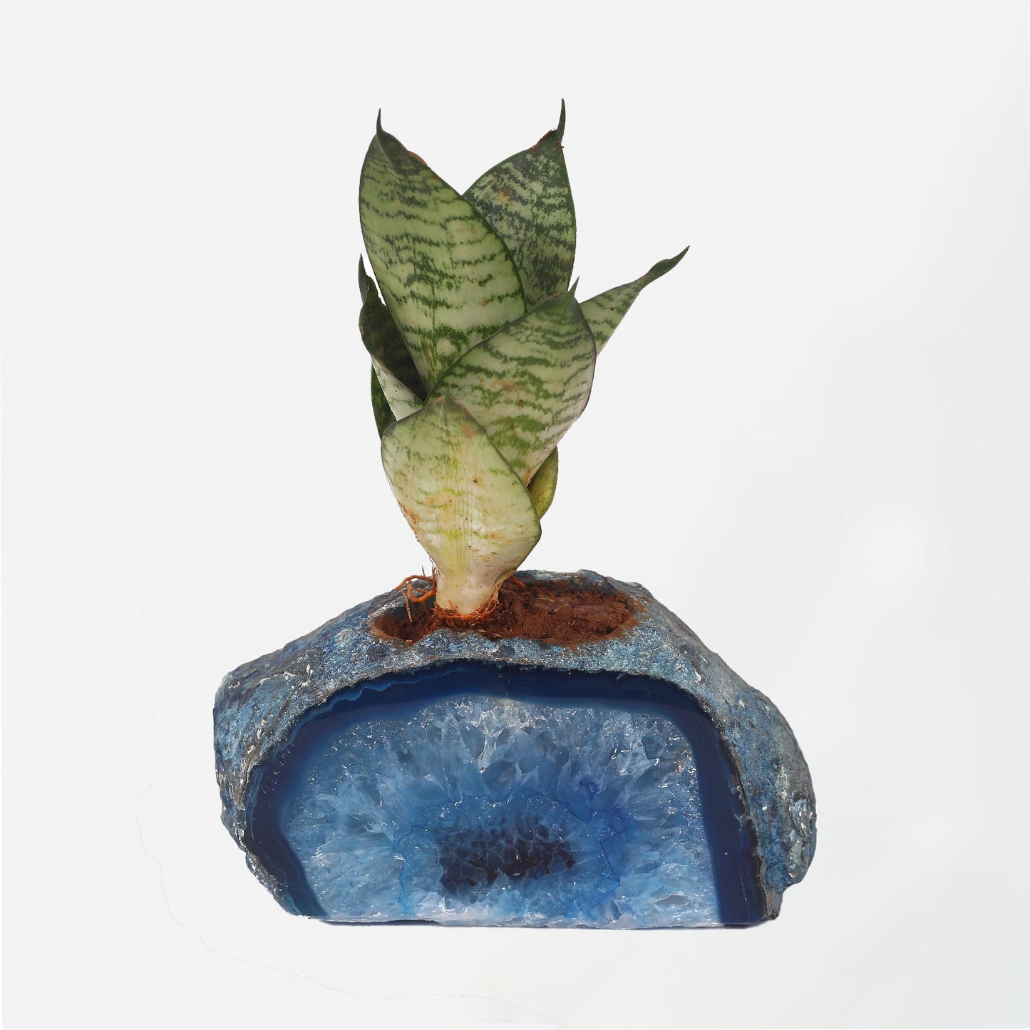 Semi Precious Planters - Colours Available