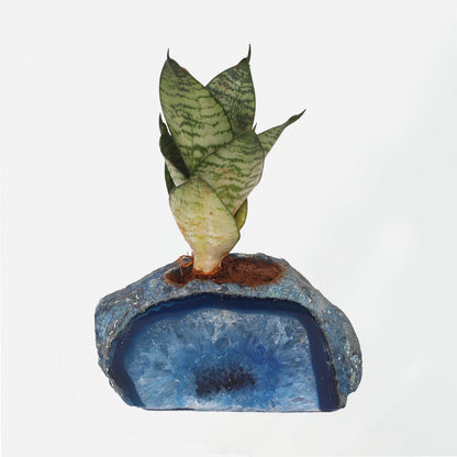 Semi Precious Planters - Colours Available