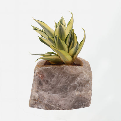 Semi Precious Planters - Colours Available