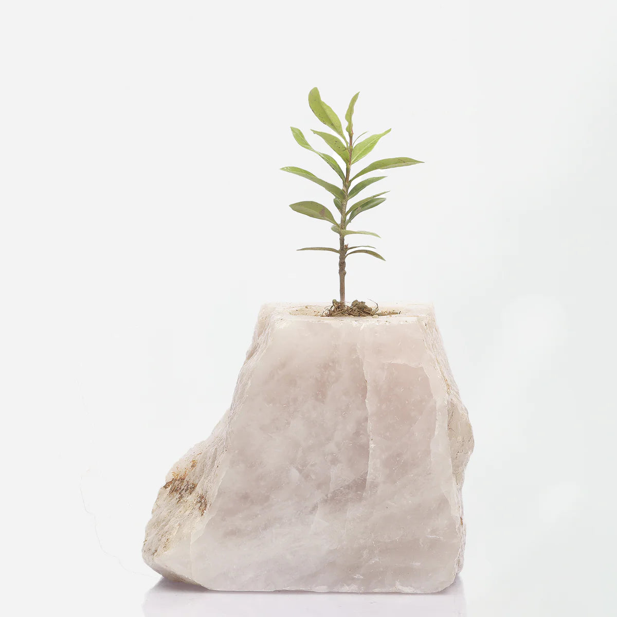 Semi Precious Planters - Colours Available