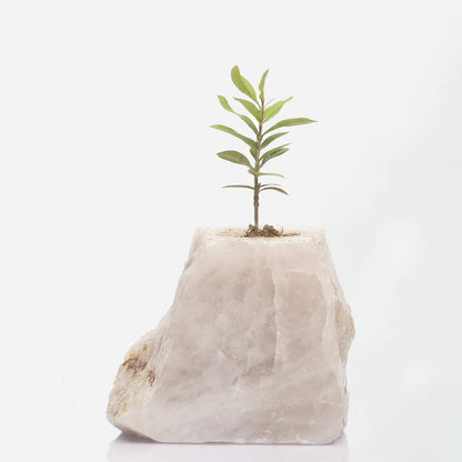 Semi Precious Planters - Colours Available