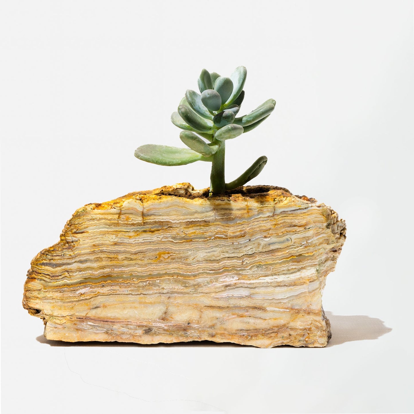 Semi Precious Planters - Colours Available