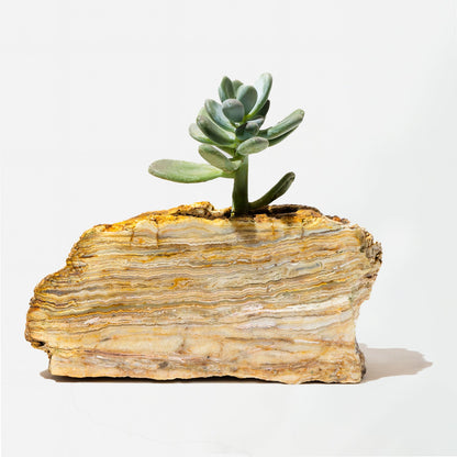 Semi Precious Planters - Colours Available