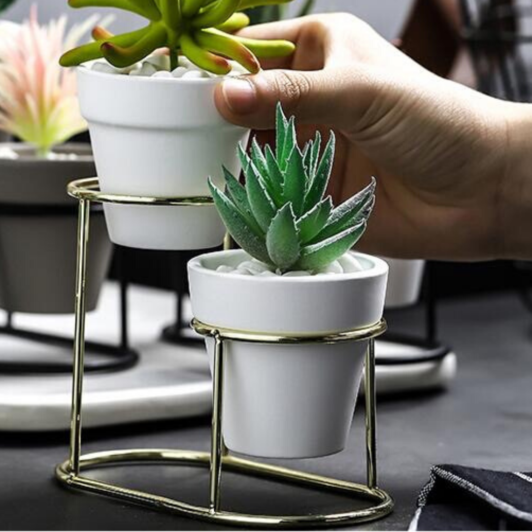 Twin Pot Planter