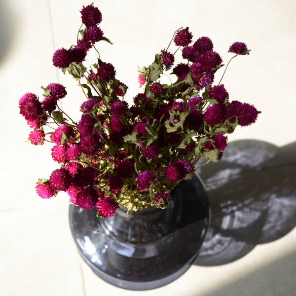 Natural Dried Gomphrena Flower Bunch
