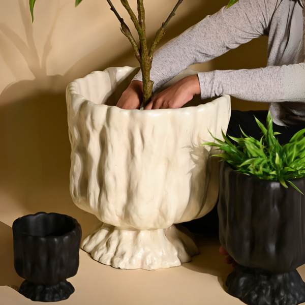 Raya Organic Planter