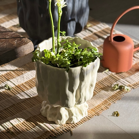 Raya Organic Planter