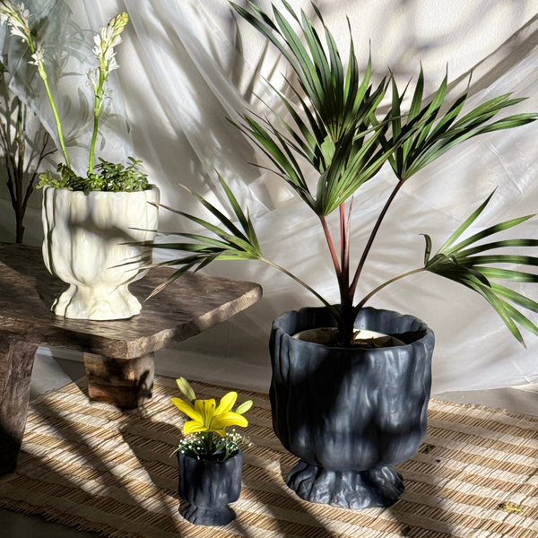 Raya Organic Planter
