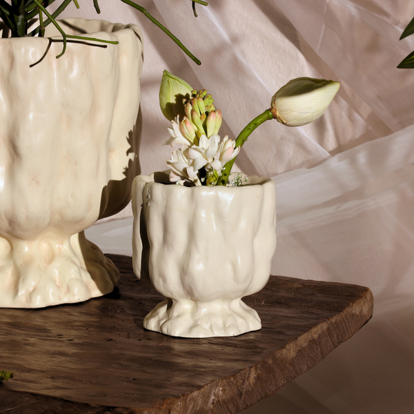 Raya Organic Planter
