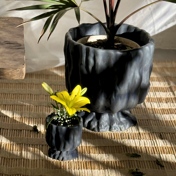 Raya Organic Planter
