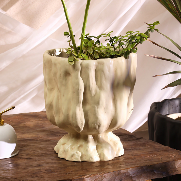 Raya Organic Planter
