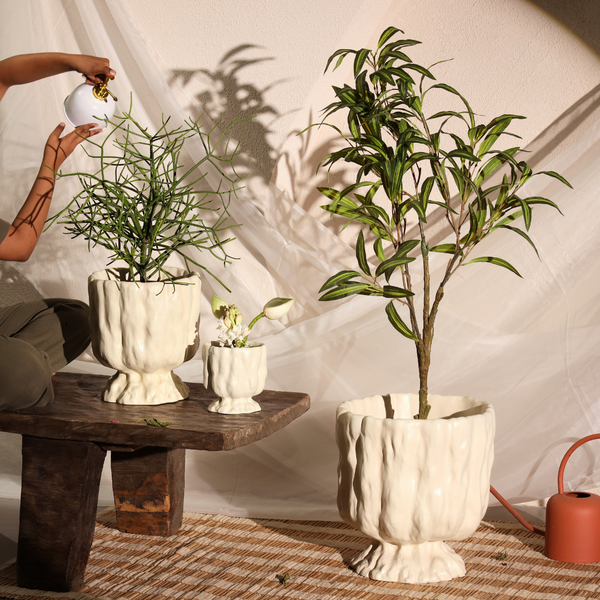 Raya Organic Planter