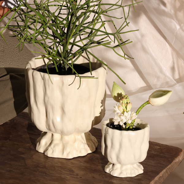 Raya Organic Planter