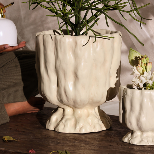 Raya Organic Planter