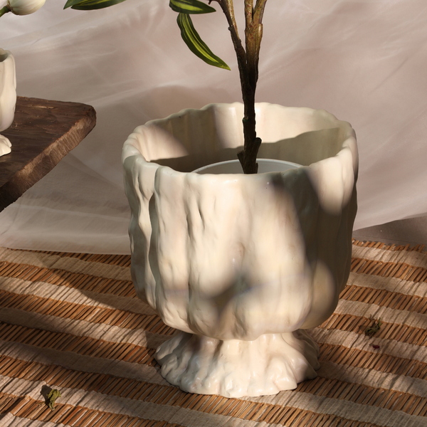 Raya Organic Planter