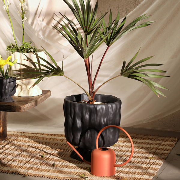Raya Organic Planter
