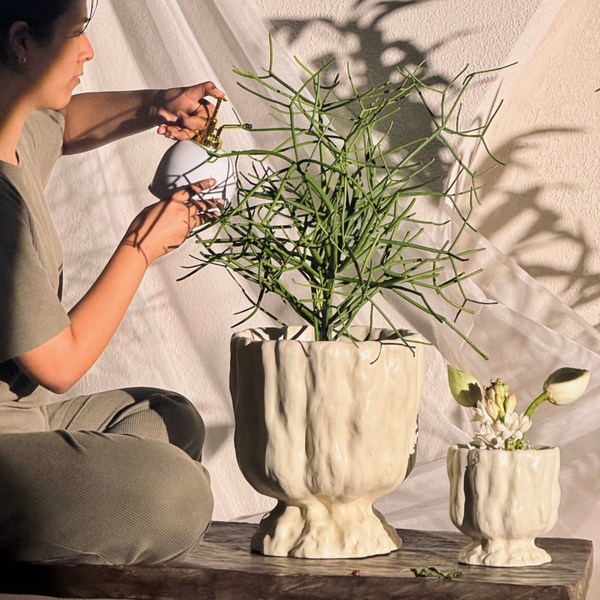 Raya Organic Planter