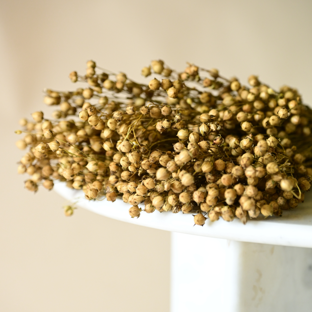 Natural Dried Yellow Flax Flower