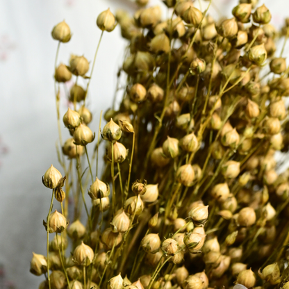 Natural Dried Yellow Flax Flower