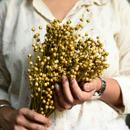 Natural Dried Yellow Flax Flower