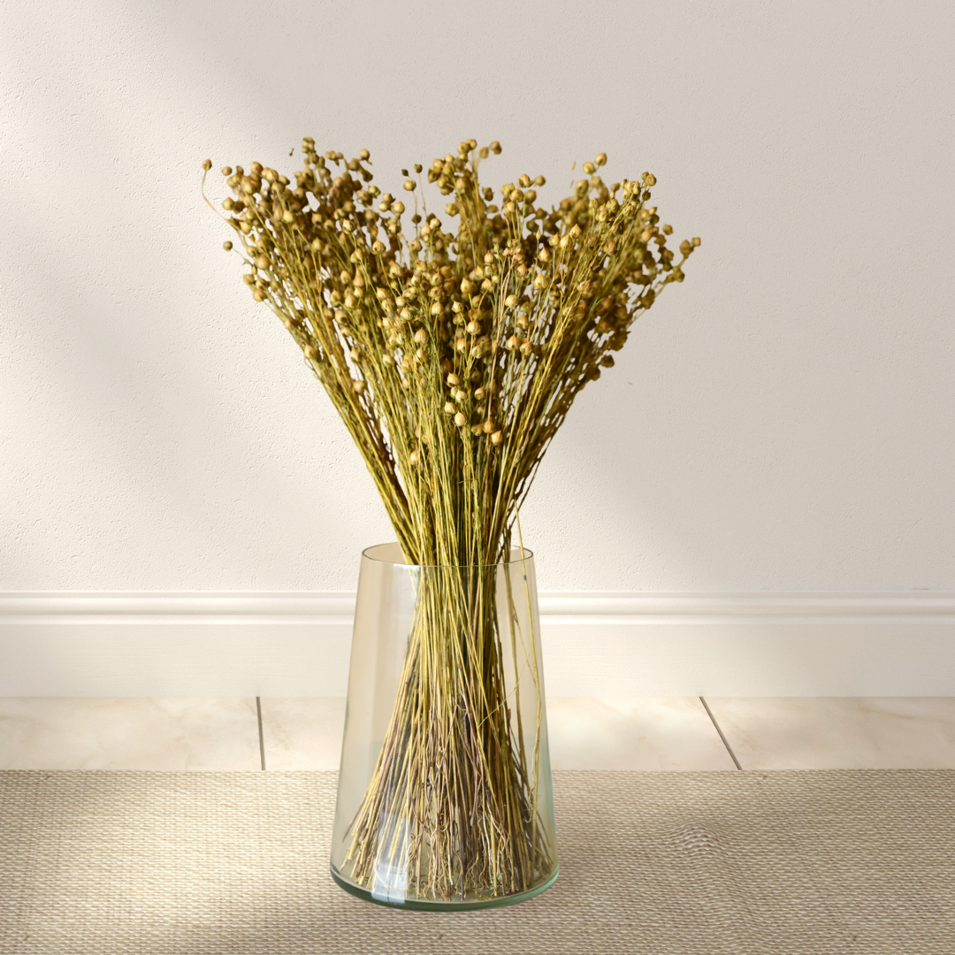 Natural Dried Yellow Flax Flower