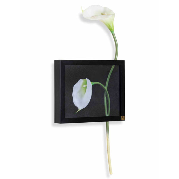 3D Wall Art: Cala Lily Horizontal Frame