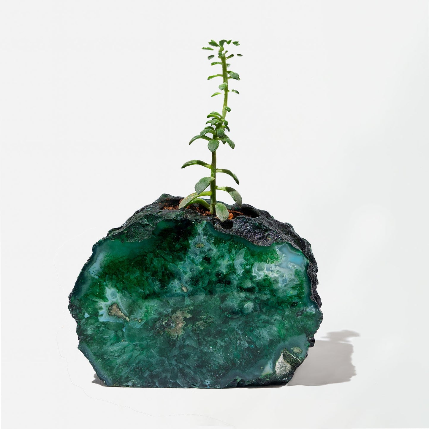 Semi Precious Planters - Colours Available