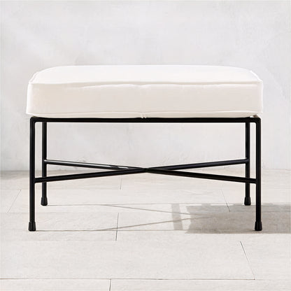 Delphine Ottoman