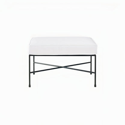 Delphine Ottoman