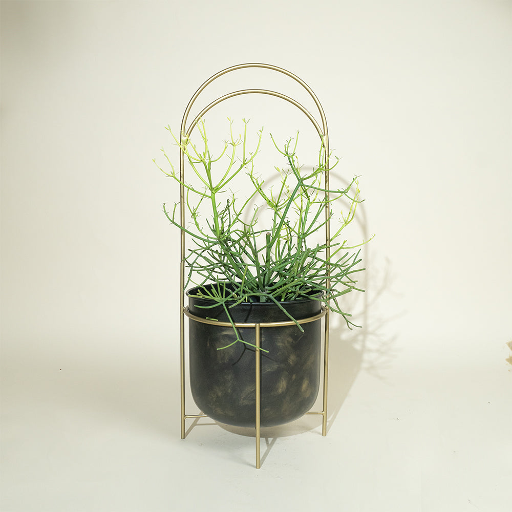 Luna Standing Planters