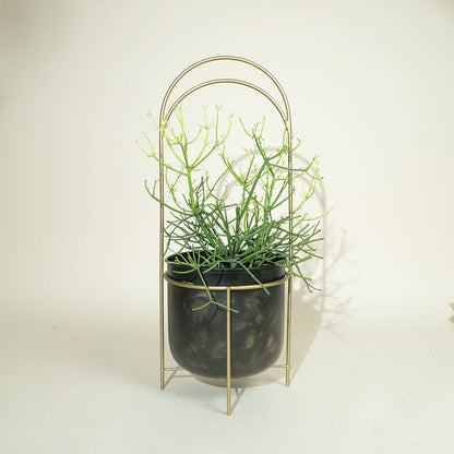 Luna Standing Planters