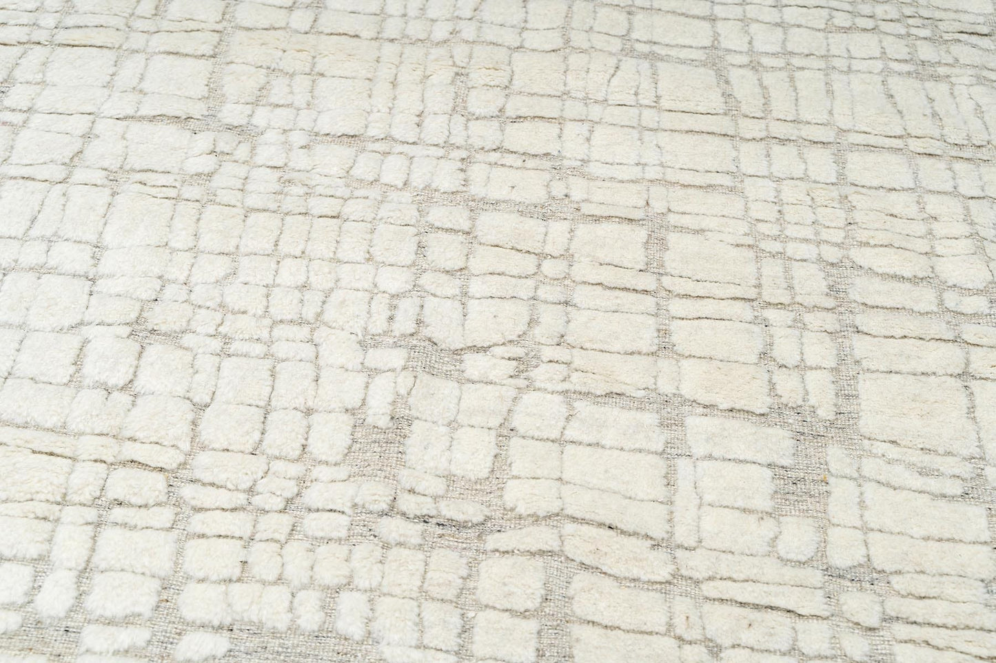 Fern Hand Knotted Wool Rug | Popyuli
