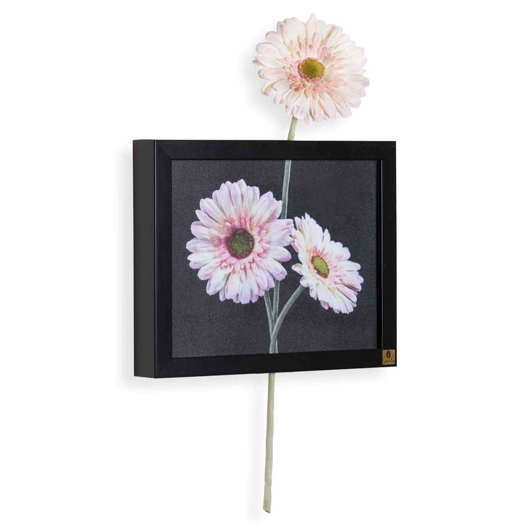 Wall Frame: Gerbera Pink (Horizontal)