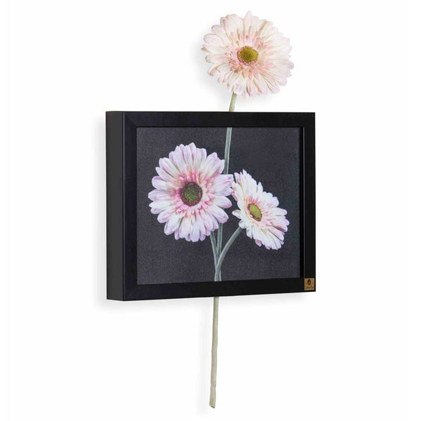 Wall Frame: Gerbera Pink (Horizontal)