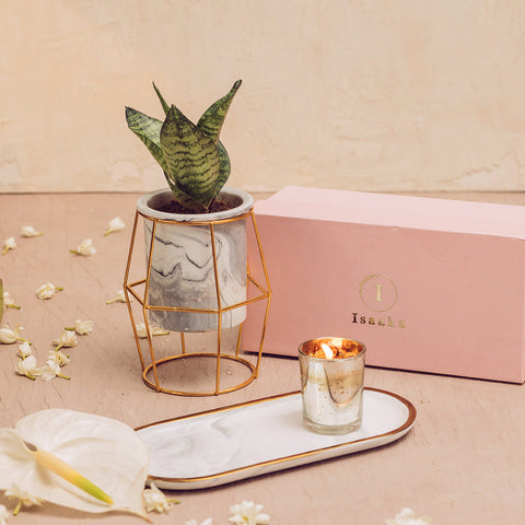 Planter, Candle, Platter Gift Box 1