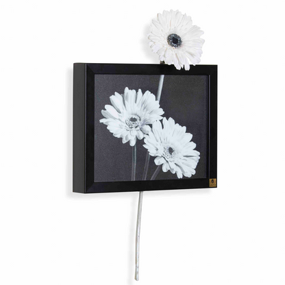 Wall Frame: Gerbera White (Horizontal)