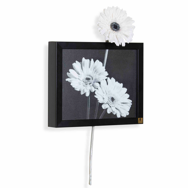 Wall Frame: Gerbera White (Horizontal)