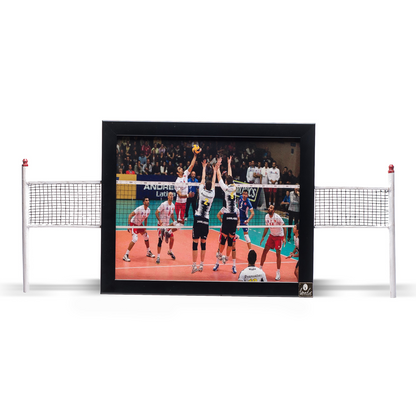 Volleyball Wall Art Decor