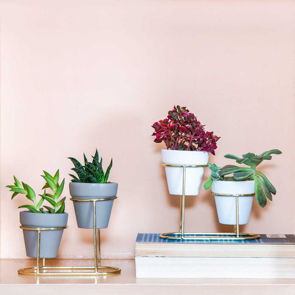 Twin Pot Planter
