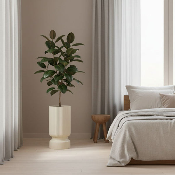 Lily Planter - Beige