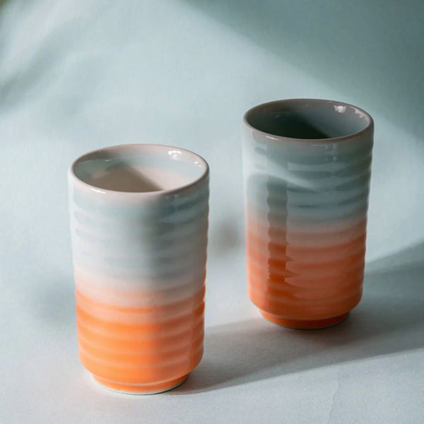 Summer Sorbet Tumbler