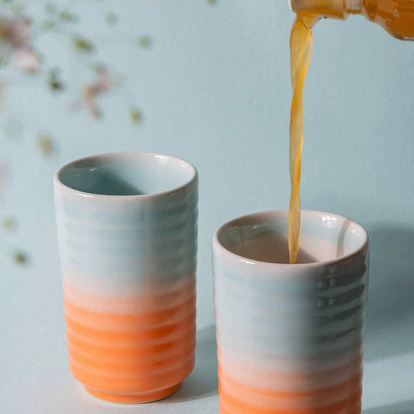 Summer Sorbet Tumbler
