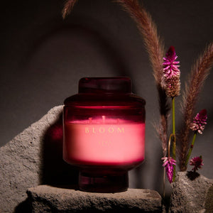 Bloom Scented Glass Candle | Sizes Available
